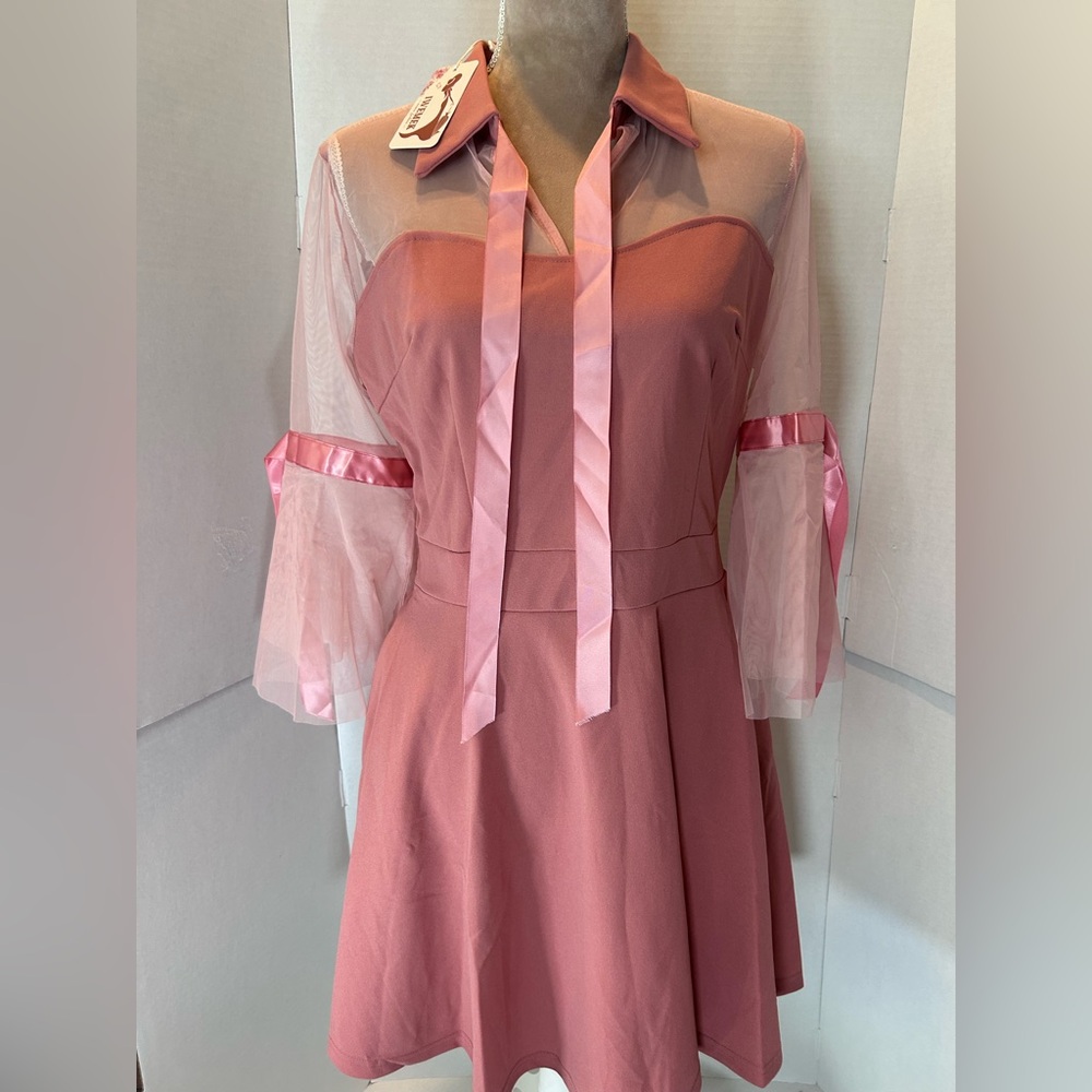 Pink Sheer Sleeve Dress
